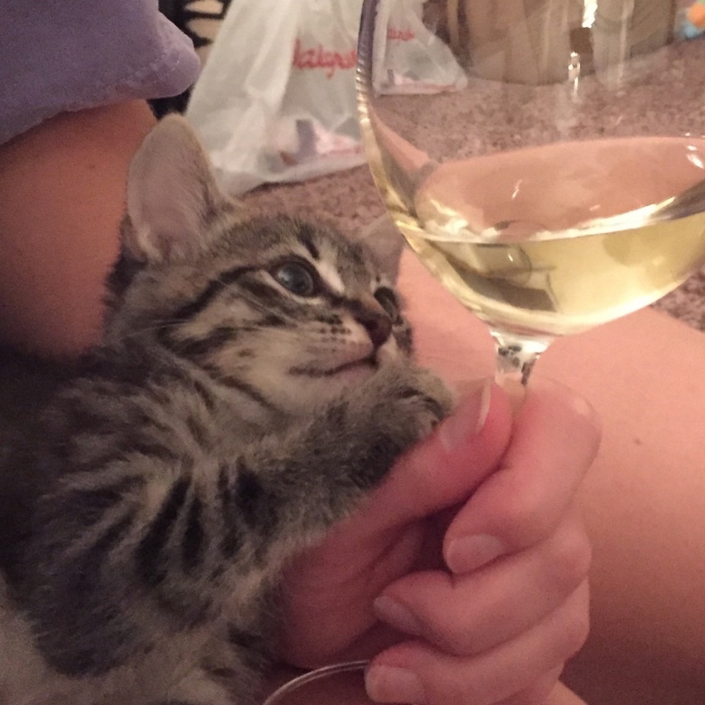 Meet your Posher, E